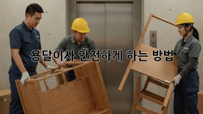 용달이사 안전하게 하는 방법