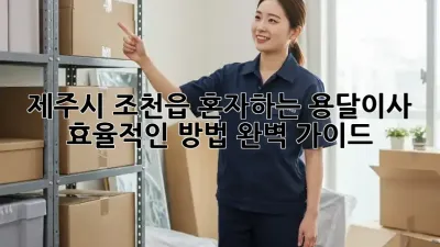 제주시 조천읍 혼자하는 용달이사, 효율적인 방법 완벽 가이드